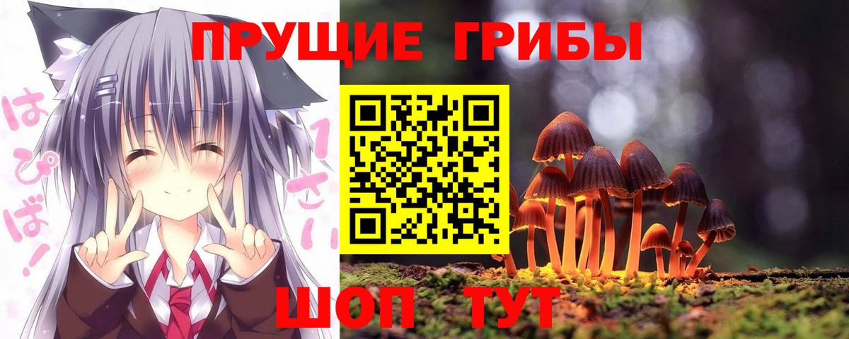Галлюциногенные грибы GOLDEN TEACHER  Вход с VPN  Галлюциногенные грибы прущие грибы  Благодарный 